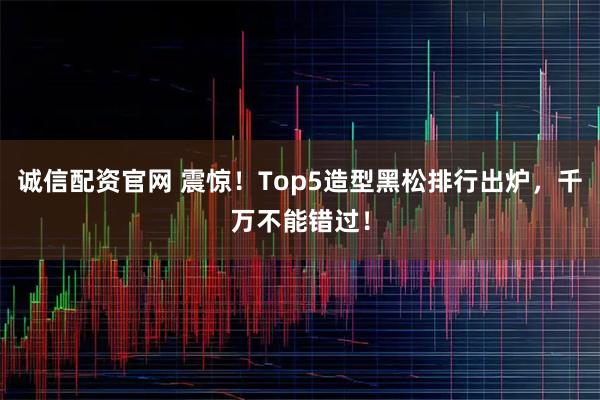 诚信配资官网 震惊！Top5造型黑松排行出炉，千万不能错过！