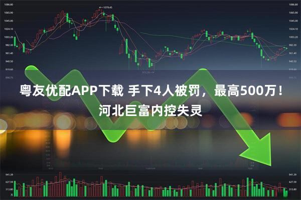 粤友优配APP下载 手下4人被罚,最高500万!河北巨富内控失灵