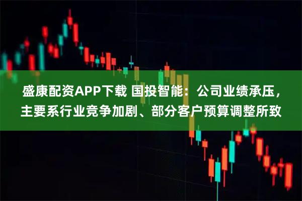 盛康配资APP下载 国投智能：公司业绩承压，主要系行业竞争加剧、部分客户预算调整所致