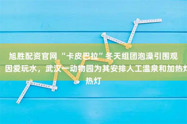 旭胜配资官网 “卡皮巴拉”冬天组团泡澡引围观，因爱玩水，武汉一动物园为其安排人工温泉和加热灯